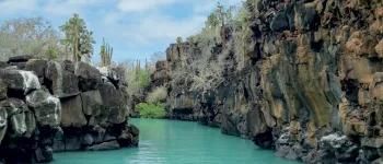 Croisière dans les Îles Galápagos : le paradis terrestre