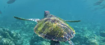 Croisière dans l'Archipel des Galápagos