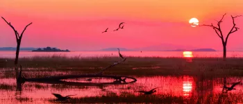 Croisière & Safari en Afrique Australe, Lac Kariba & Chutes Victoria (2023)