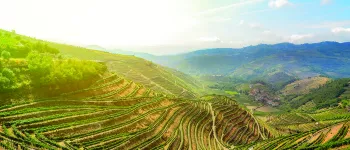 Croisière Musicale sur le Douro (Portugal)