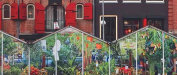 Croisière à la découverte des plus beaux jardins du Rhin d'Amsterdam à Bâle