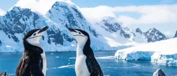 Croisière en Péninsule Antarctique et passage du cercle polaire