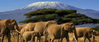 Tanzanie et Zanzibar