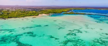 Croisière dans les Îles Galápagos : aux origines de la vie