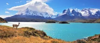 Patagonie et Terres australes : croisière en Argentine et au Chili