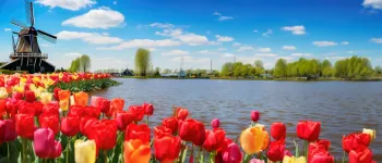 Odyssée florale sur le Rhin : les plus beaux jardins de Hollande et de Belgique