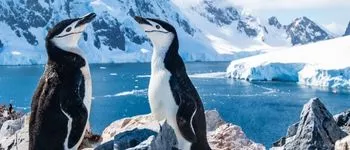 À la découverte du continent blanc : péninsule Antarctique & Cercle polaire