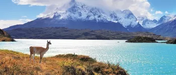 Patagonie et Terres australes : Argentine - Uruguay - Chili