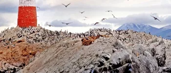 Aux confins de la Patagonie et de la Terre de Feu