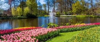 Croisière florale : escapade hollandaise et flânerie rhénane