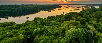 L’Amazonie révélée : aventure fluviale le long de l’Amazone et de ses affluents
