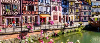 A fleur de fleuves : Rhin, Moselle, Main et promenade dans l’art des jardins