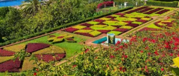 Odyssée Florale à Madère : la Fête des Fleurs