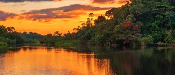 Au cœur de l’Amazonie : voyage fluvial sur l’Amazone