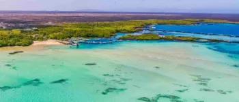 Croisière dans les Îles Galápagos : Immersion dans un sanctuaire naturel