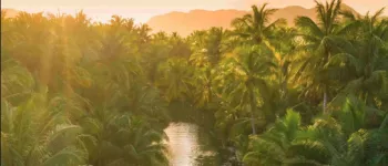 Au cœur de l’Amazonie : au fil de l’Amazone et de ses affluents