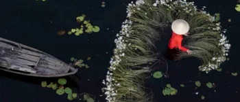 Joyaux du Mékong, du Cambodge et du Vietnam