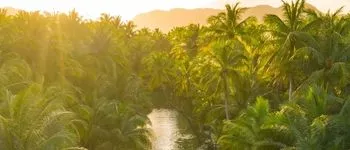 Amazonie, au cœur de la forêt tropicale