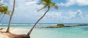 Échappée caribéenne à bord du Star Flyer