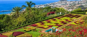 Odyssée Florale à Madère : la Fête des Fleurs