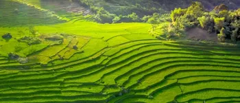 Le Vietnam en train, entre rizières et vallées secrètes