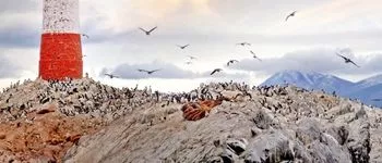 Fjords chiliens et bout du monde : cap sur la patagonie