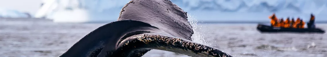 A la découverte du 7ème continent