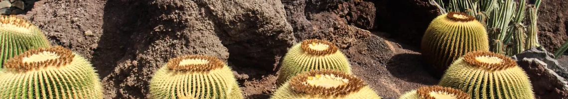 Éternel printemps dans l’archipel des Canaries