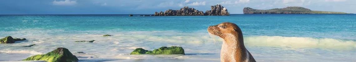 Galápagos 2022 : Aux origines de la vie