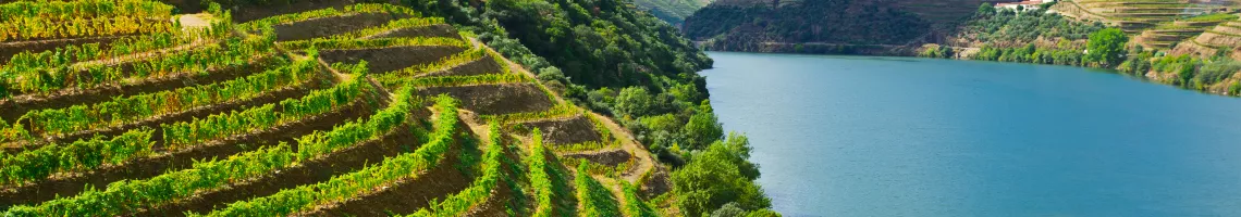 La vallée du Douro avec Echappées Belles
