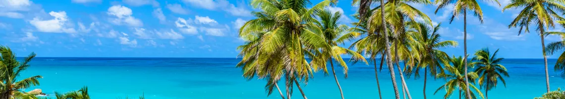 Cap vers les îles Grenadines