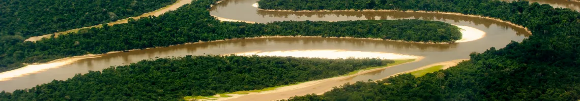 La croisière Amazonie, au cœur de la forêt tropicale