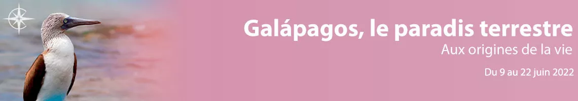 Îles Galápagos : le paradis terrestre