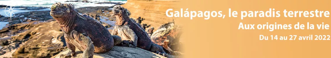 Voyage aux îles Galápagos