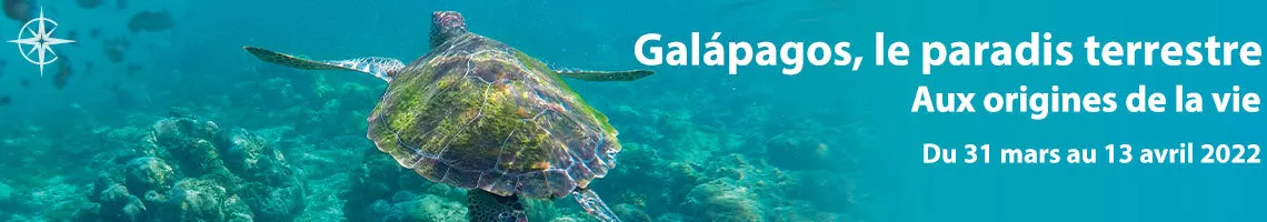 Galápagos : le paradis terrestre