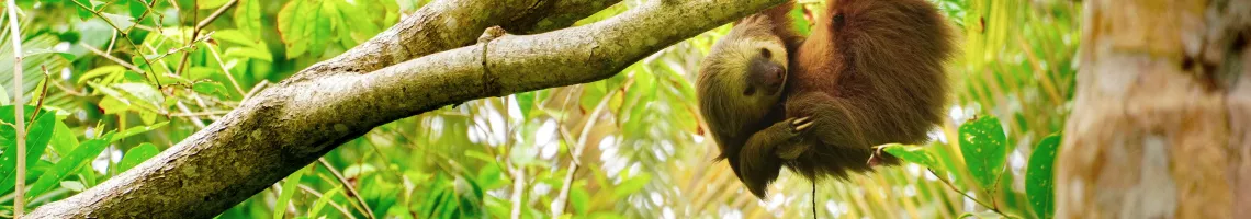 Costa Rica, au cœur d'une nature préservée