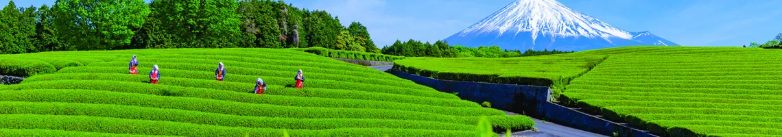 Croisière Japon, entre traditions et modernité