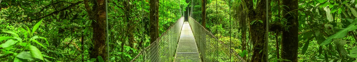Panama, Costa Rica : Au cœur d'une nature luxuriante