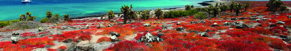 Croisière aux Galápagos : voyage vers les origines de la vie