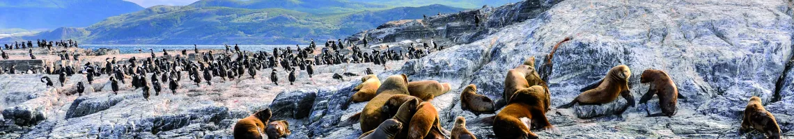 Patagonie Terre de Feu et fjords chiliens avec Paris Match