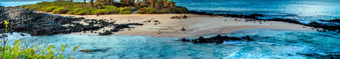 Îles Galápagos : cap sur le paradis terrestre