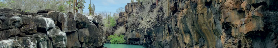 Croisière dans les Îles Galápagos : le paradis terrestre