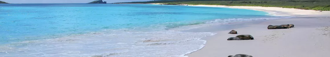 Croisière aux Galápagos : l'archipel aux origines de la vie