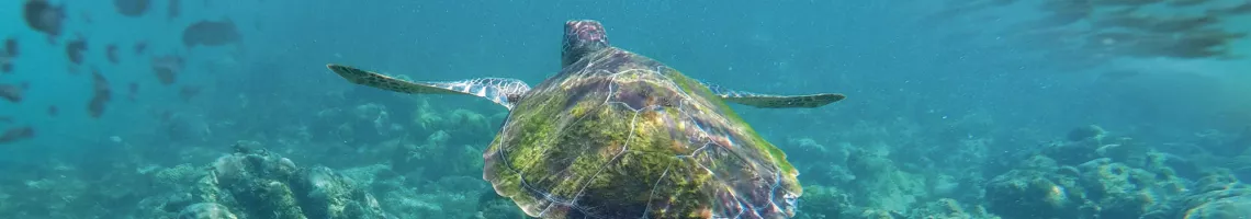 Croisière dans l'Archipel des Galápagos