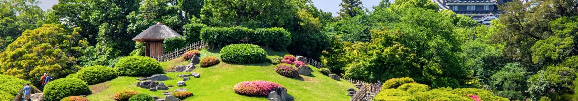 Circuit au cœur du Japon, entre côtes modernes et Alpes authentiques