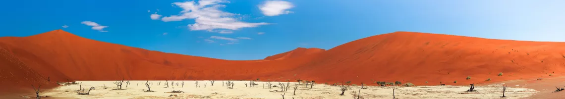 Aventures en Namibie et en Afrique du Sud en train