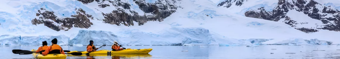 Sanctuaires sauvages en Géorgie du Sud et péninsule Antarctique