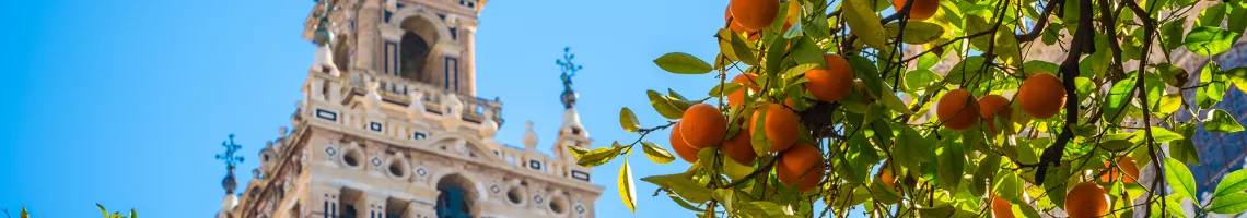 Croisière Rustica, au fil des jardins sur le Guadalquivir : Andalousie, Portugal