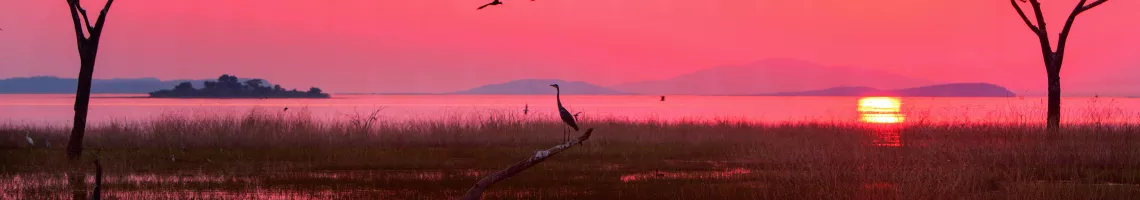 Croisière & Safari en Afrique Australe, Lac Kariba & Chutes Victoria (2023)