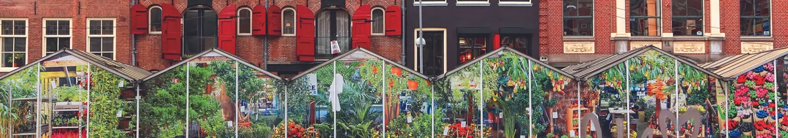 Croisière à la découverte des plus beaux jardins du Rhin d'Amsterdam à Bâle